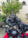 tuong-nhat-long-go-mun-sung-cao-ca-ky-63-rieng-tuong-cao-52-ngang-76-sau-30-cm-462360