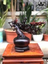 binh-mai-phu-quy-go-trac-cao-31-ngang-31-sau-15-cm-462374