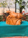 tuong-trau-go-ngoc-am-cao-36-ngang-45-sau-33-cm-462443
