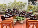 tuong-bat-ma-go-trac-cao-39-ngang-110-sau-22-cm-462548