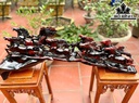 tuong-bat-ma-go-trac-cao-39-ngang-110-sau-22-cm-462551