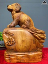 tuong-cho-go-huong-cao-52-ngang-31-sau-23-cm-462569