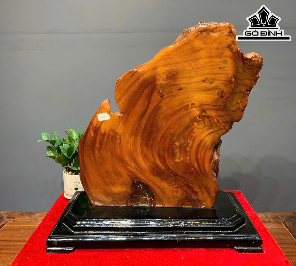 tuong-dat-ma-bay-go-po-mu-cao-ca-ky-63-ngang-60-sau-30-cm-ky-cao-8-cm-462581
