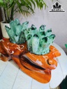 tac-pham-da-thach-anh-xanh-cao-17-ngang-19-cm-25kg-462679