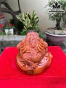 tuong-thiem-thu-go-cam-cao-25-ngang-30-sau-25-cm-462771