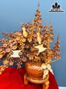 binh-mai-phu-quy-go-huong-cao-72-ngang-68-sau-30-cm-462781