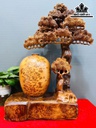 cay-phu-quy-go-nu-ngoc-am-cao-65-ngang-40-sau-20-cm-462784