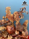 tuong-gia-dinh-ga-go-sua-cao-67-ngang-62-sau-40-cm-462798