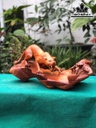 tuong-bao-san-moi-go-huong-cao-25-ngang-56-sau-22-cm-462839