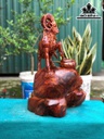 tuong-nhat-duong-go-cam-cao-62-ngang-33-sau-33-cm-462868
