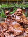 tuong-phat-di-lac-ngoi-bao-tien-go-cam-cao-ca-ky-43-rieng-tuong-cao-33-ngang-56-sau-25-cm-463109