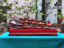 tuong-bat-ma-go-trac-cao-ca-ky-25-ngang-59-sau-12-cm-463138