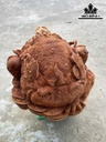 tuong-thiem-thu-go-ngoc-am-cao-31-ngang-50-sau-46-cm-463281