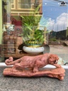 tuong-ho-phong-thuy-go-cam-cao-15-ngang-36-sau-10-cm-463376