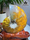 cap-oc-anh-vu-hoa-ngoc-cao-20-ngang-23-cm-19kg-463473