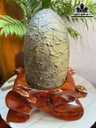 hoc-da-thach-anh-tim-cao-29-ngang-14-sau-14-cm-66kg-463478