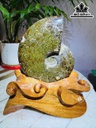 oc-anh-vu-hoa-ngoc-cao-22-ngang-13-cm-17kg-463484