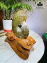 oc-anh-vu-hoa-ngoc-cao-22-ngang-13-cm-17kg-463486