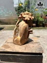 cu-nhan-sam-tai-loc-go-ngoc-am-cao-50-ngang-28-sau-20-cm-463536