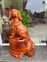 tuong-cho-go-huong-cao-47-ngang-30-sau-23-cm-10kg-463772