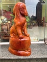 tuong-cho-go-huong-cao-47-ngang-30-sau-23-cm-10kg-463774