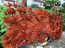 quat-phu-the-vien-man-go-huong-kich-thuoc-60x120x8-cm-464540