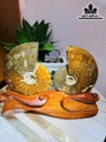 cap-oc-anh-vu-hoa-ngoc-cao-20-ngang-25-cm-22kg-464800