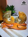 cap-oc-anh-vu-hoa-ngoc-cao-20-ngang-25-cm-22kg-464806