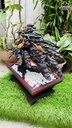 chau-tung-hac-go-trac-cao-46-ngang-54-sau-24-cm-464842