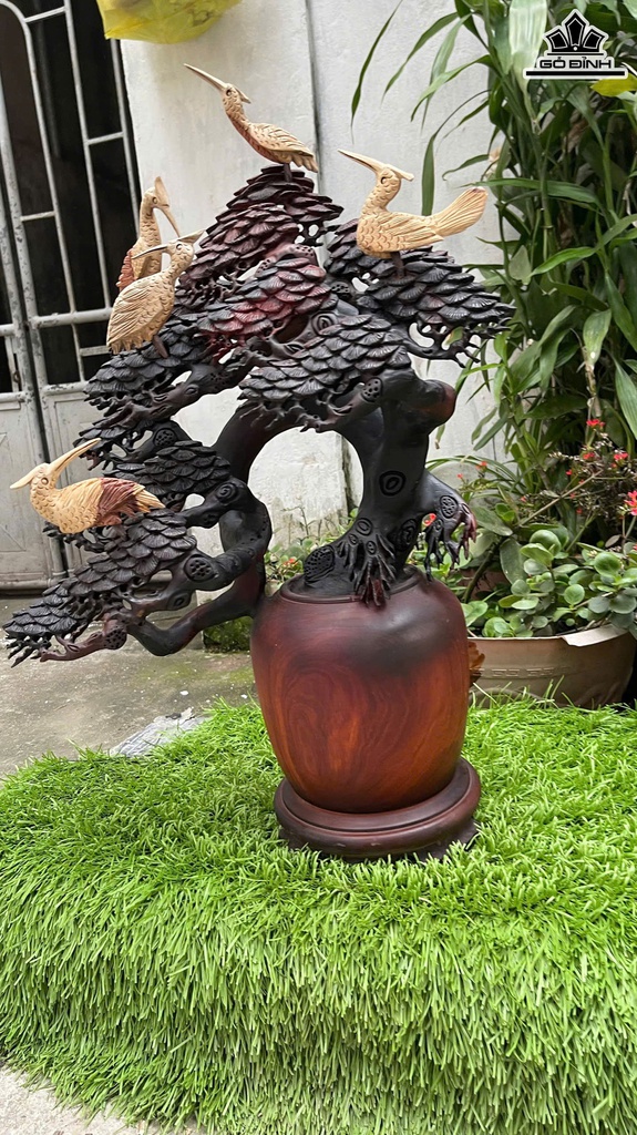 ngu-hac-quan-tung-go-trac-cao-ca-ky-64-ngang-44-sau-23-cm-464850