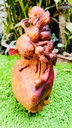 tuong-phat-di-lac-dung-bao-tien-go-nu-ngoc-am-cao-26-ngang-27-sau-12-cm-465029