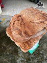 tuong-thiem-thu-go-ngoc-am-cao-32-ngang-48-sau-37-cm-465034