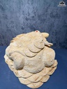 tuong-thiem-thu-go-ngoc-am-cao-26-ngang-44-sau-30-cm-18kg-465078