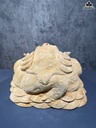 tuong-thiem-thu-go-ngoc-am-cao-26-ngang-44-sau-30-cm-18kg-465081