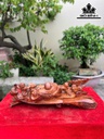 tuong-phat-di-lac-nhi-phuc-go-cam-cao-17-ngang-47-sau-17-cm-465132
