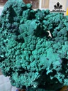 tac-pham-da-malachite-cao-37-ngang-25-cm-8kg-465321