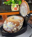 bat-tu-bao-vo-ma-nao-duong-kinh-mieng-10-cm-1339kg-465358