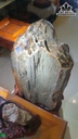 cay-go-hoa-thach-cao-92-ngang-45-cm-110kg-465398