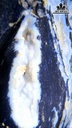 can-thach-co-ngoc-cao-33-ngang-175-cm-48kg-465403