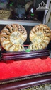 cap-oc-anh-vu-hoa-thach-cao-25-ngang-15-cm-09kg-465406