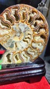 cap-oc-anh-vu-hoa-thach-cao-25-ngang-15-cm-09kg-465409