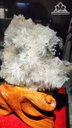 bong-hoa-uu-dam-da-tram-tich-cao-27-ngang-22-cm-26kg-465449