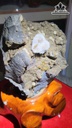 bong-hoa-uu-dam-da-tram-tich-cao-23-ngang-13-cm-27kg-465460