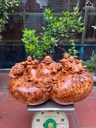 tuong-phat-di-lac-tam-phuc-go-nu-ngoc-am-cao-32-ngang-65-sau-33-cm-465500