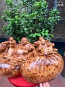 tuong-phat-di-lac-tam-phuc-go-nu-ngoc-am-cao-32-ngang-65-sau-33-cm-465501