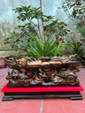 tuong-nhat-long-go-mun-hoa-cao-27-ngang-60-sau-13-cm-cao-ca-ky-37-cm-465506