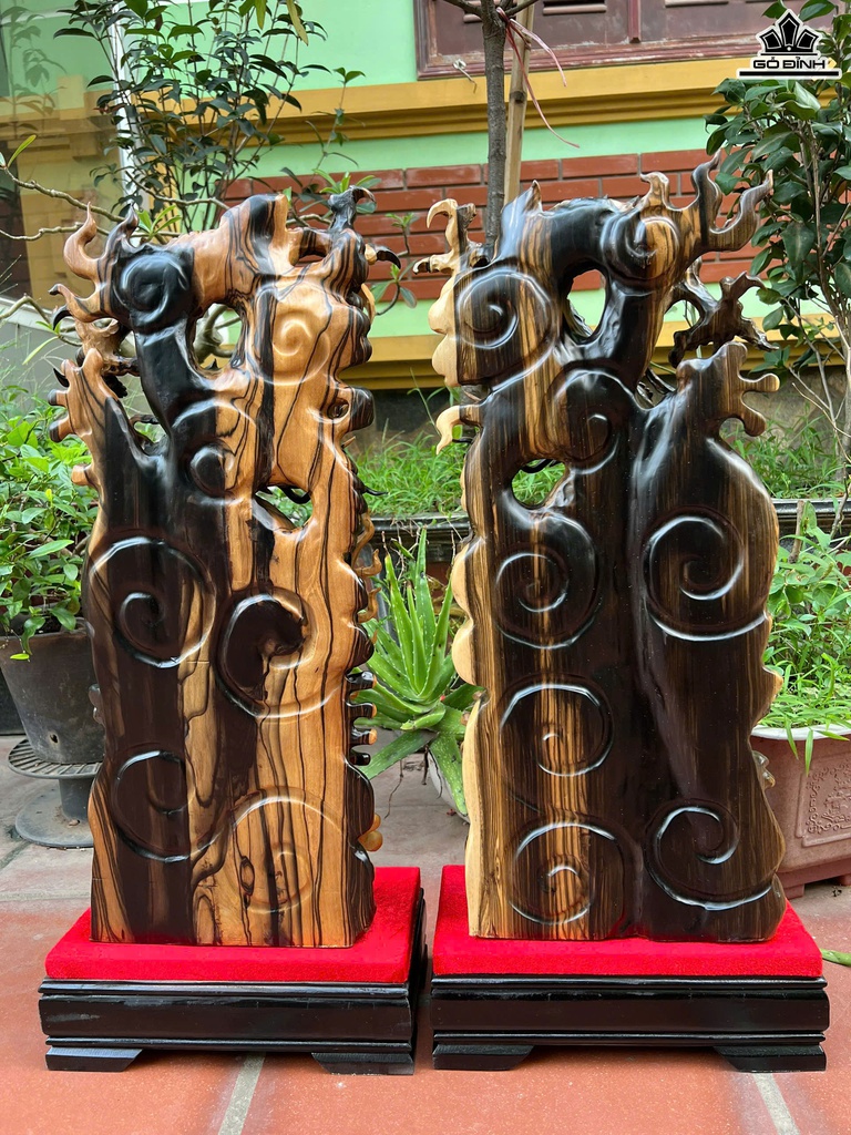 cap-rong-nhat-long-tran-chum-go-mun-hoa-cao-ca-ky-70-ngang-26-sau-12-cm-ky-cao-10-cm-465513