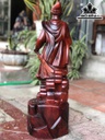 tuong-tran-quoc-tuan-go-trac-cao-62-ngang-20-sau-9-cm-465747