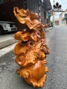 tuong-dat-ma-mua-quyen-go-huong-cao-63-ngang-50-sau-38-cm-465893