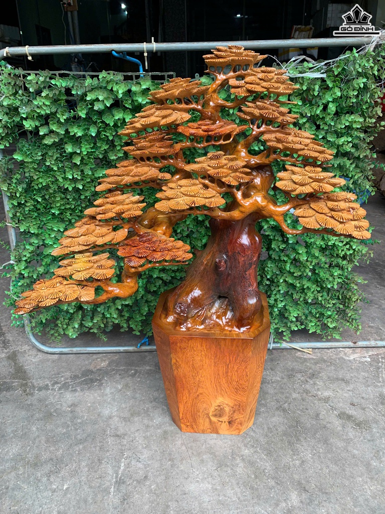 chau-tung-go-huong-cao-68-ngang-52-sau-21-cm-465952